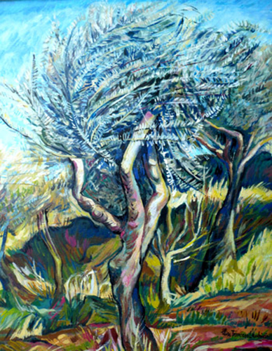 L'albero di ulivo